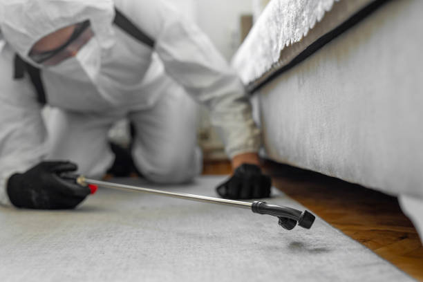 Professional Ant Control technician working in Bunker Hill, OR