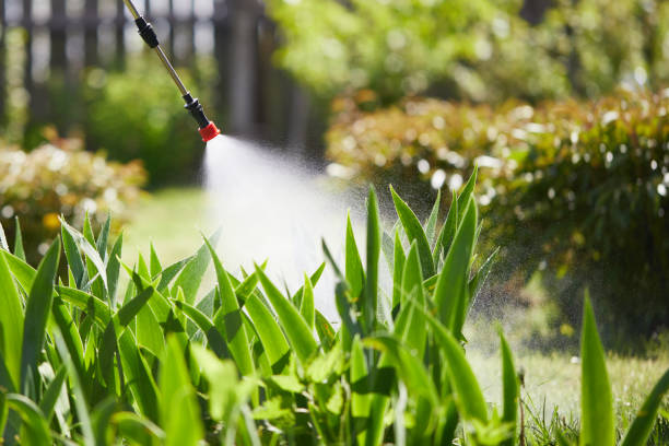 24/7 Emergency Ant Control experts in Bunker Hill, OR