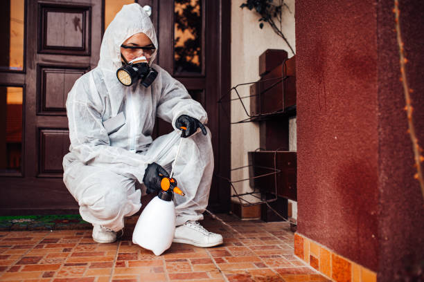 Reliable Ant Control contractor in Bunker Hill, OR by Nex Pest Control